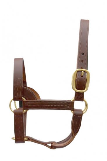 LEATHER STALLION HALTER LEATHER STALLION HALTER