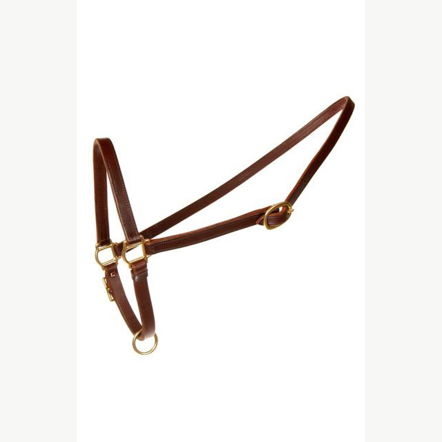 LEATHER GROOMING HALTER - Click Image to Close