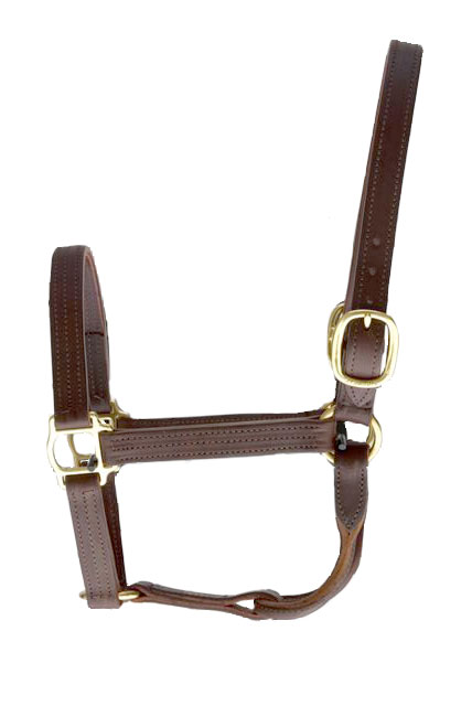 Sale or Show Halter - Click Image to Close