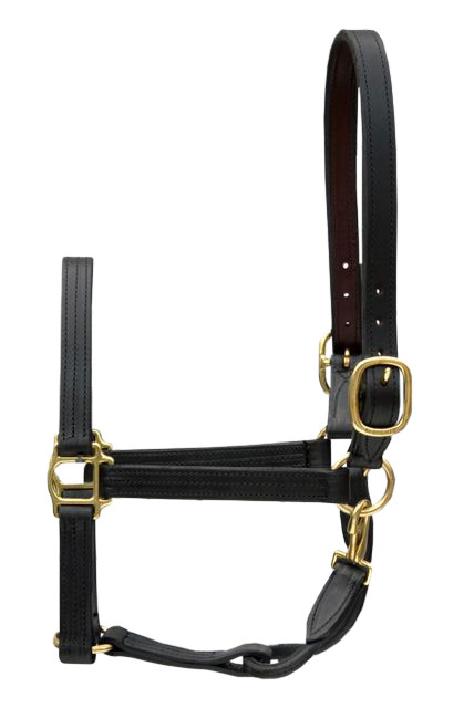 LEATHER SALE/SHOW HALTER - Click Image to Close