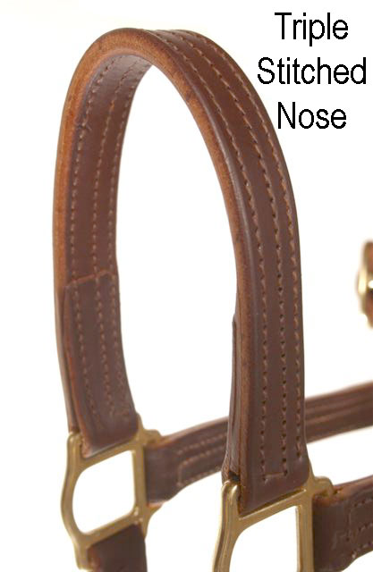 LEATHER SALE/SHOW HALTER