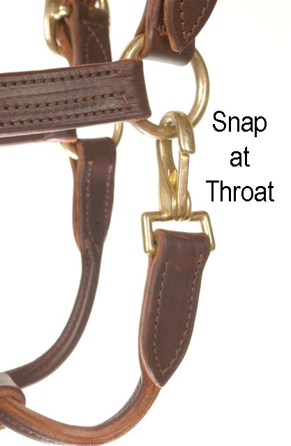 LEATHER SALE/SHOW HALTER