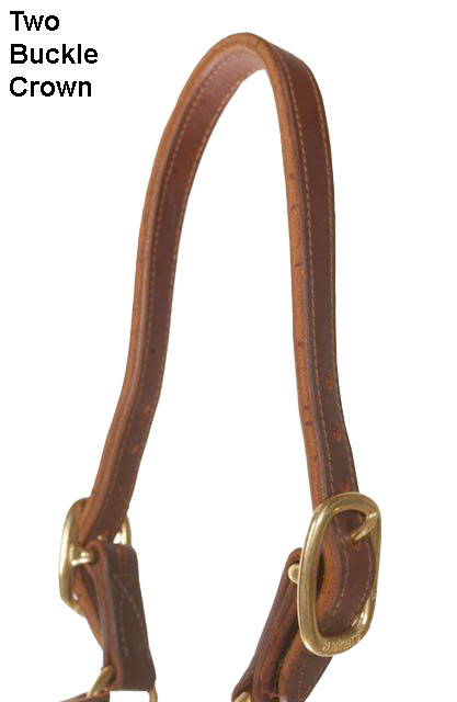 LEATHER SALE/SHOW HALTER - Click Image to Close