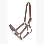 LEATHER TRACK HALTER LEATHER TRACK HALTER