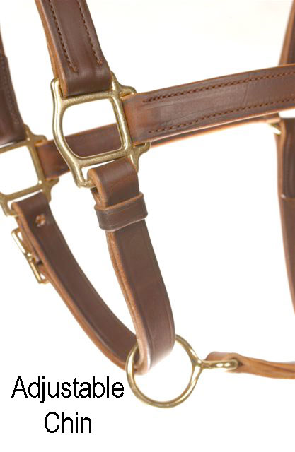 LEATHER TRACK HALTER - Click Image to Close